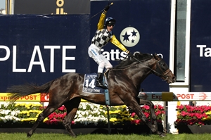 SYT 2nd Cox Plate